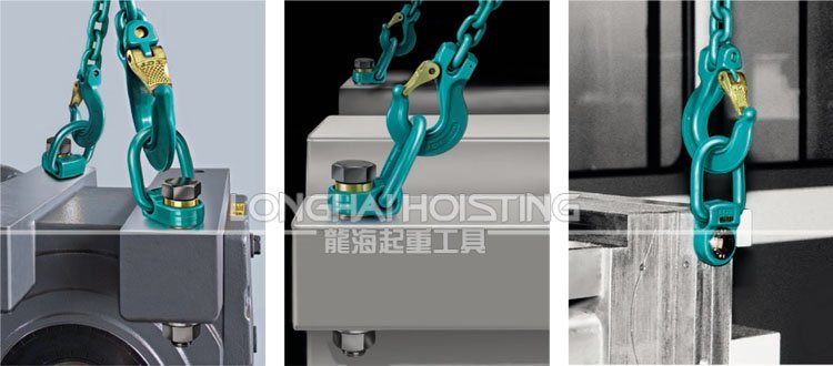 德國JDT側(cè)向旋轉(zhuǎn)吊環(huán)應用